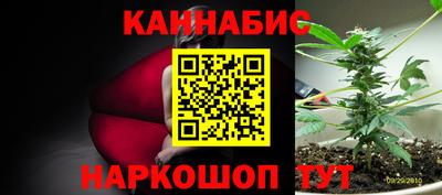 молекула духа Среднеуральск